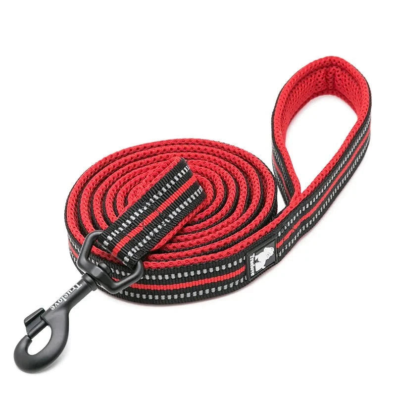 Reflective Dog Leash in Red