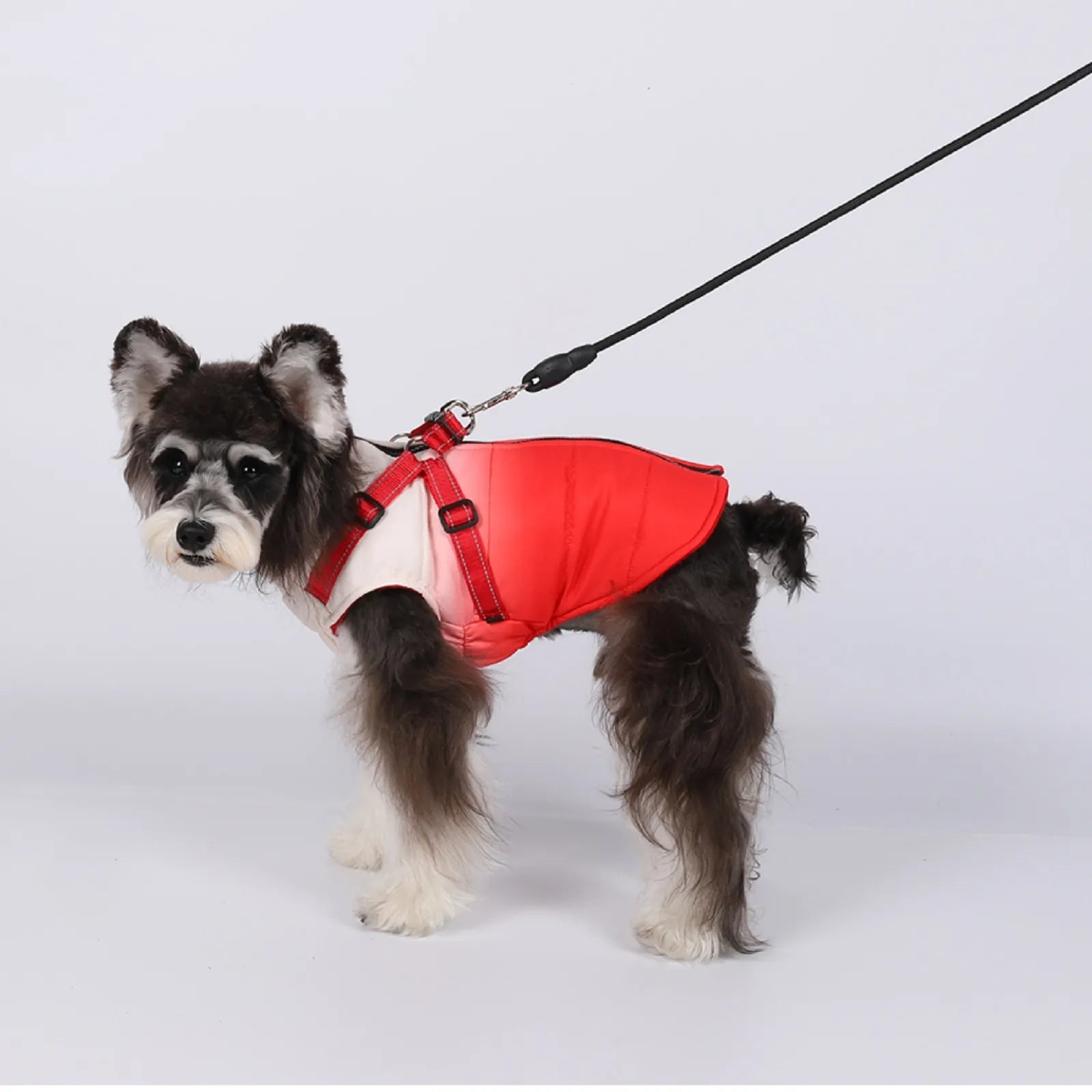 Waterproof Dog Jacket With Harness Waterproof dog jacket with harness