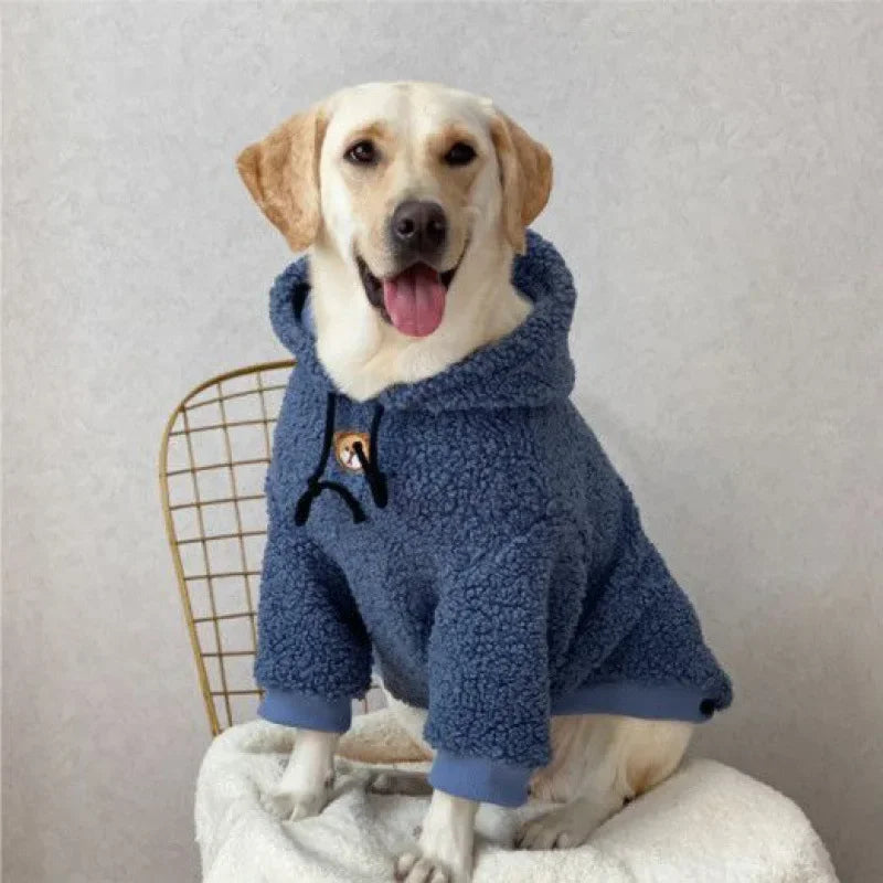 Large Dog Hoodie