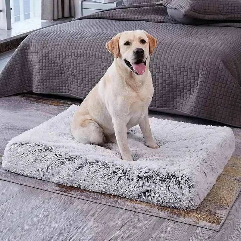 Plush Dog Bed
