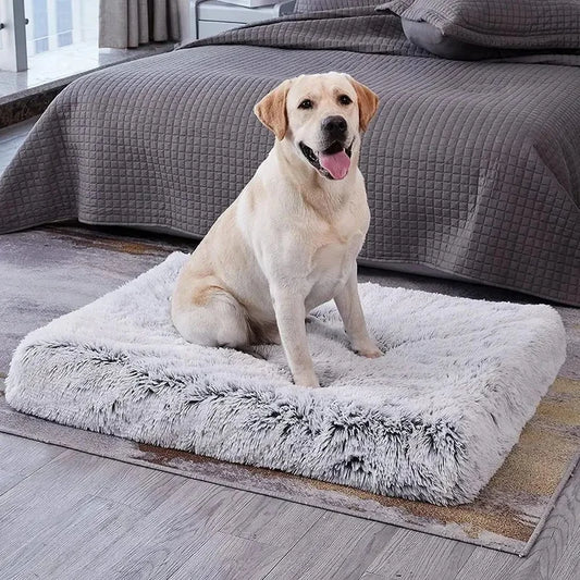 Plush Dog Bed