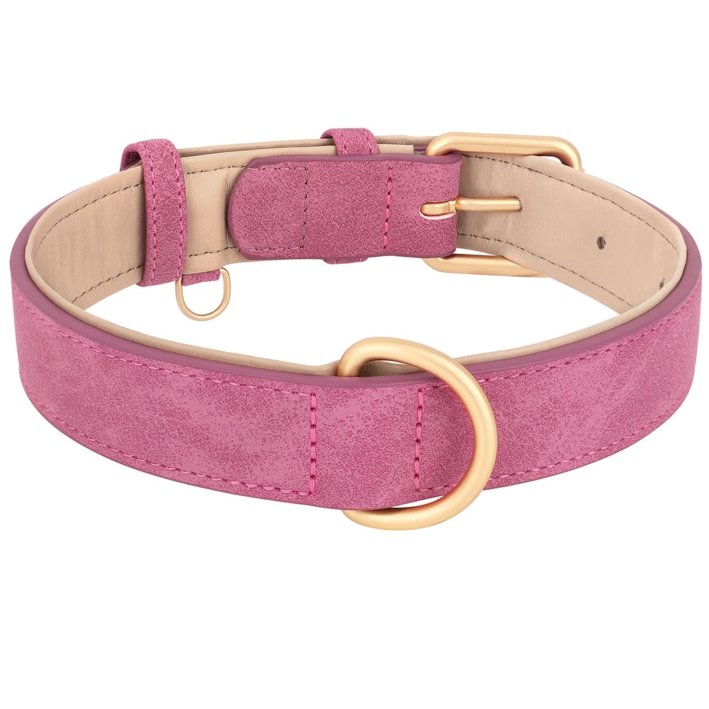 Leather Dog Collar in Rose