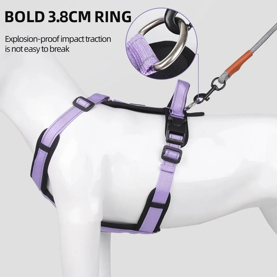 Dog Harness With Handle