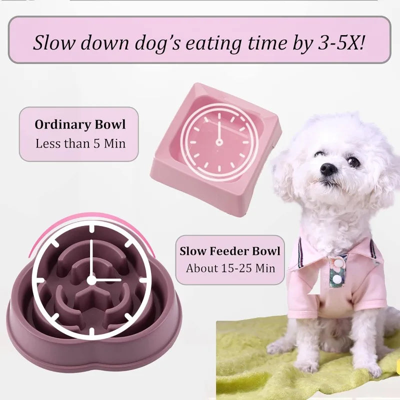 Slow Feed Bowls For Dogs