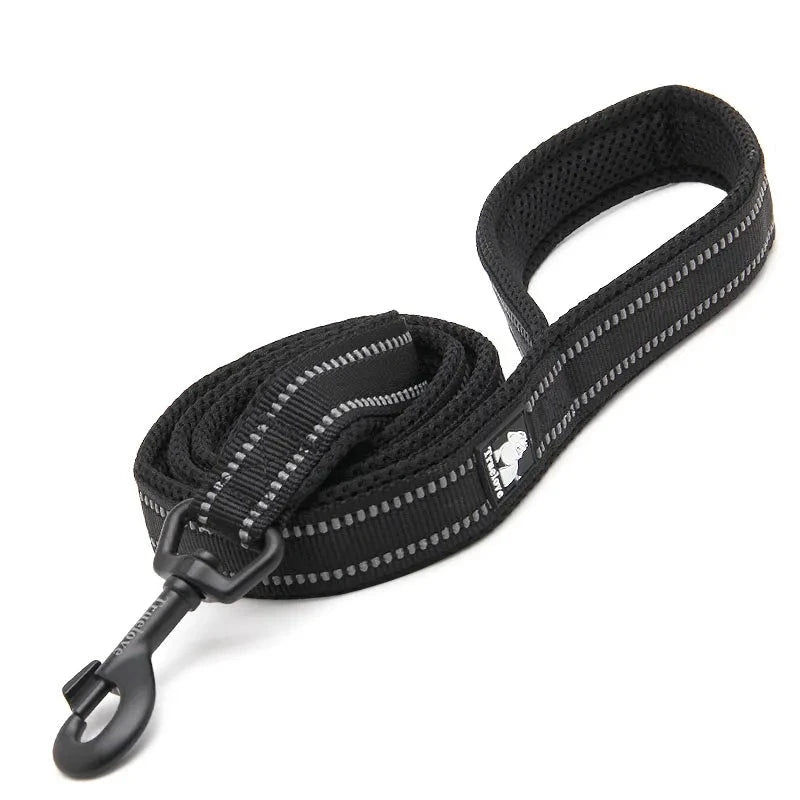 Reflective Dog Leash in Black