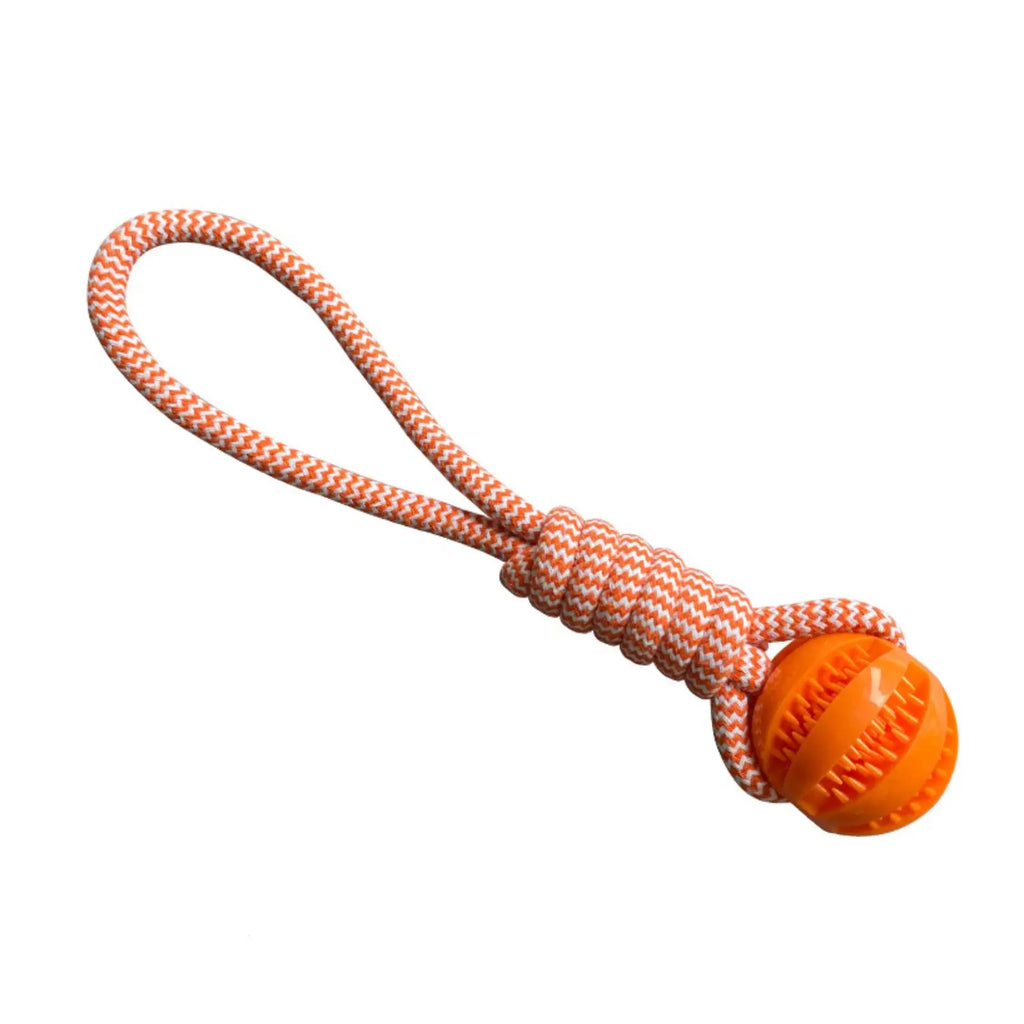 Dog Leaking Food Ball in Orange