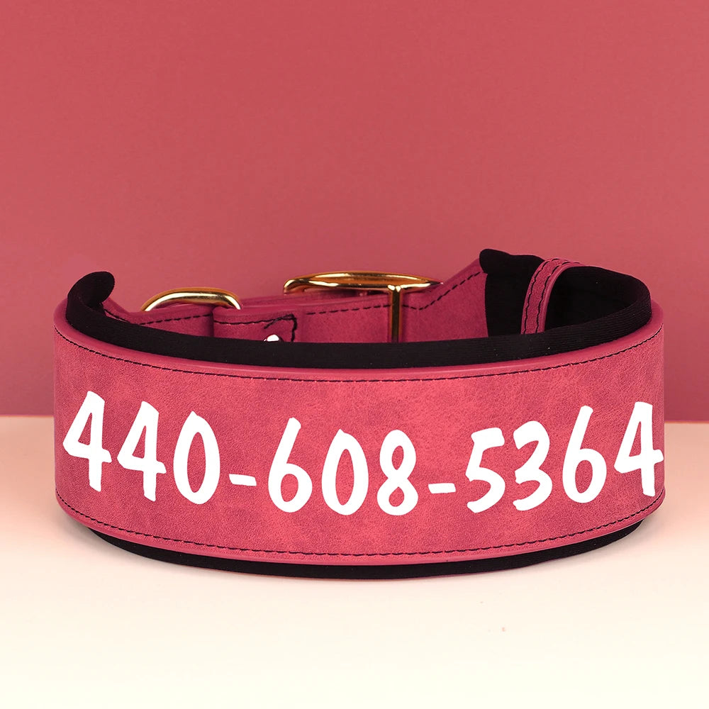 Personalized Dog Collar With Name in Printed 2