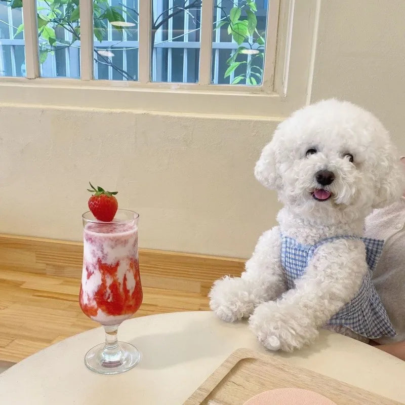 Dog Skirt