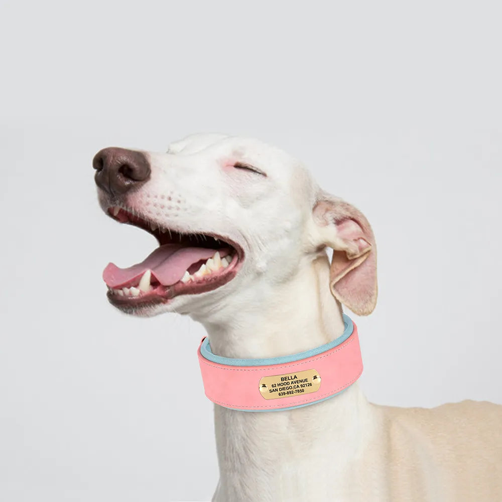 Personalized Dog Collar