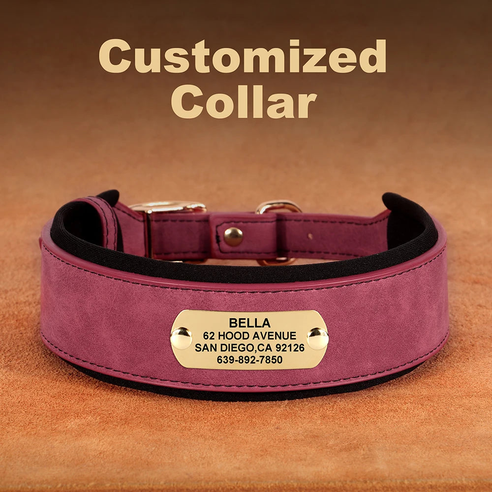 Personalized Dog Collar in Laser Engrave 2
