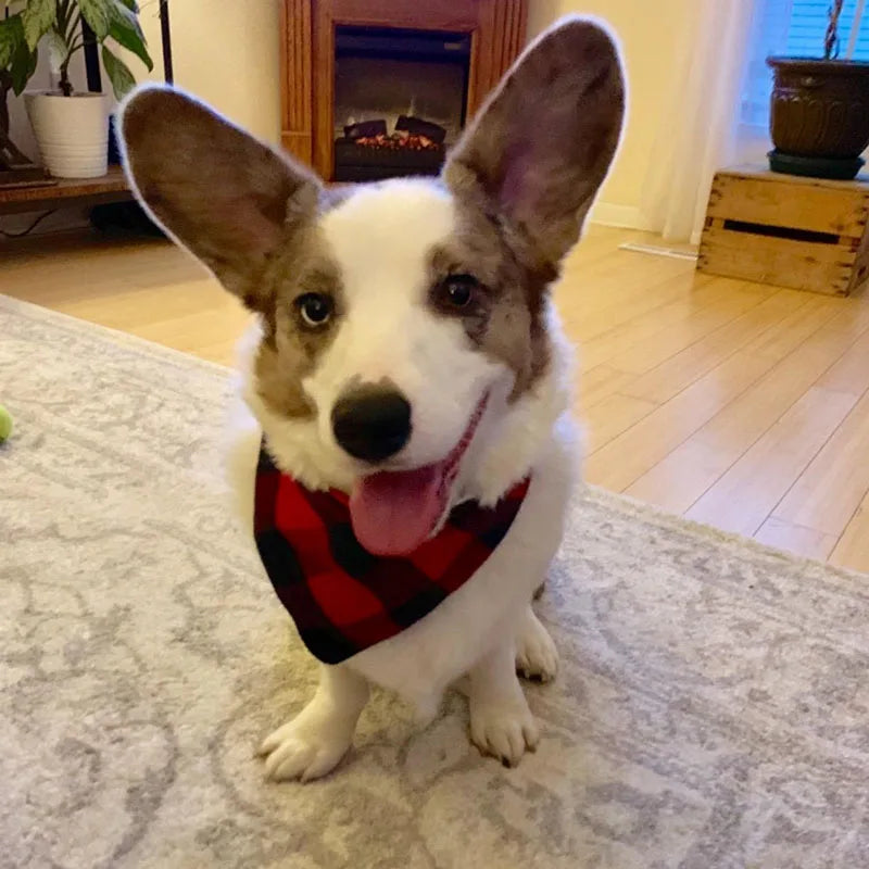 Dog Plaid Cotton Bandanas