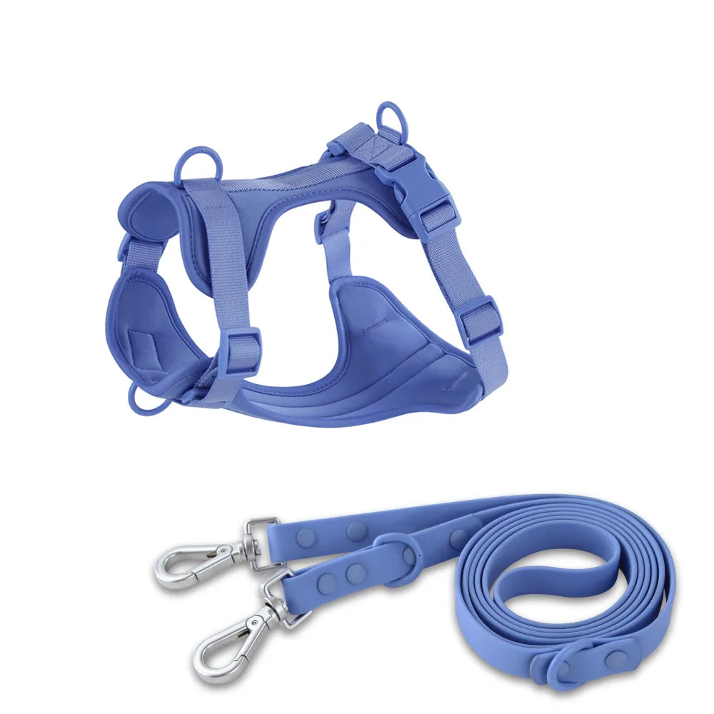 Double Harness For Dogs in Harness & Leash Blue