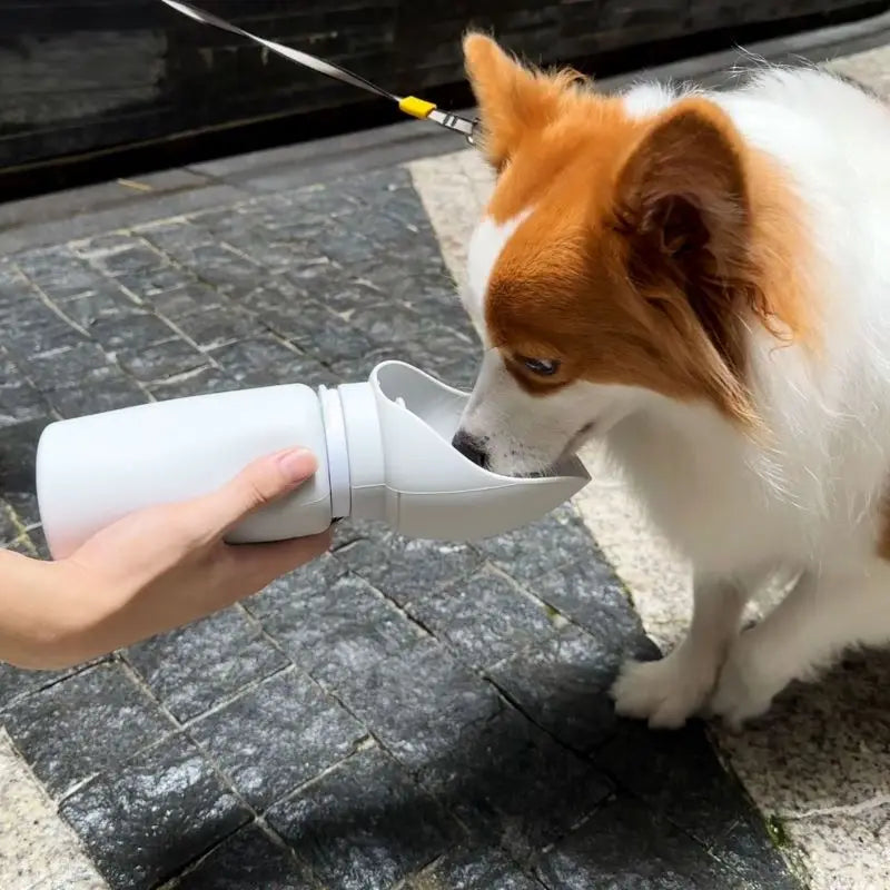 Dog Water Bottle For Walking