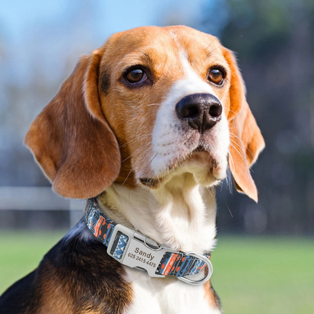 Personalized Nylon Dog Collar