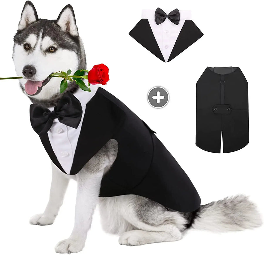 Classic gentleman suit pattern adds a touch of elegance to your pet's wardrobe.