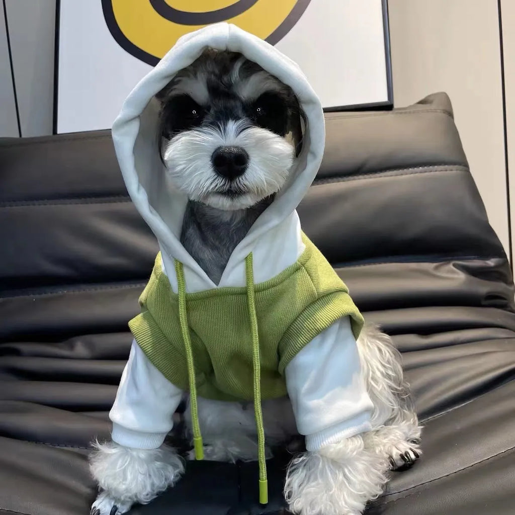 Dog Hoodie