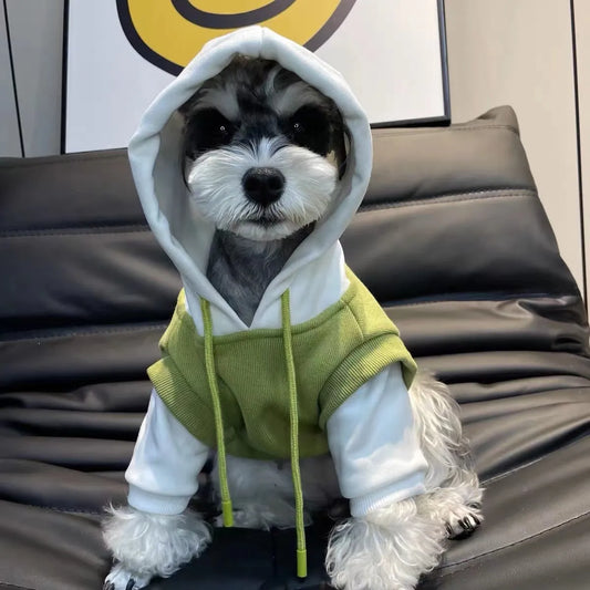 Dog Hoodie