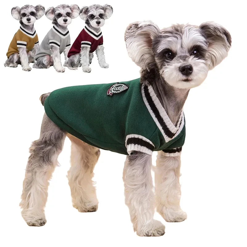 Dog Sweater Dog