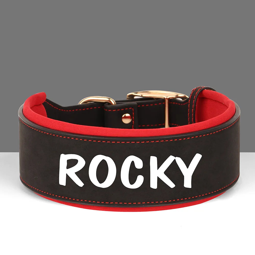 Personalized Dog Collar With Name in Printed 1