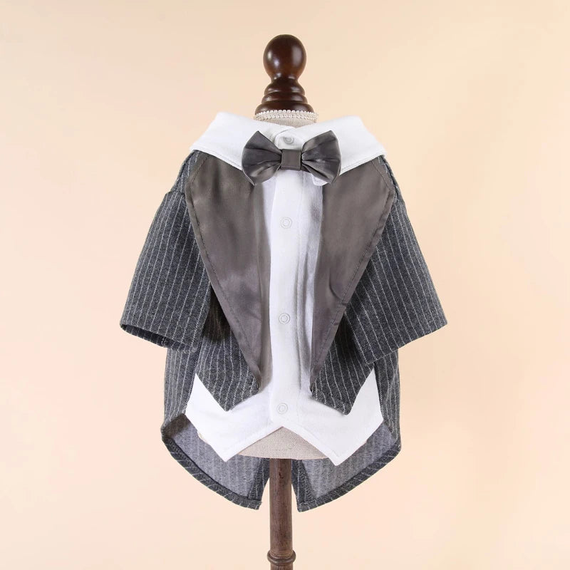 Dog Tuxedos in Gray