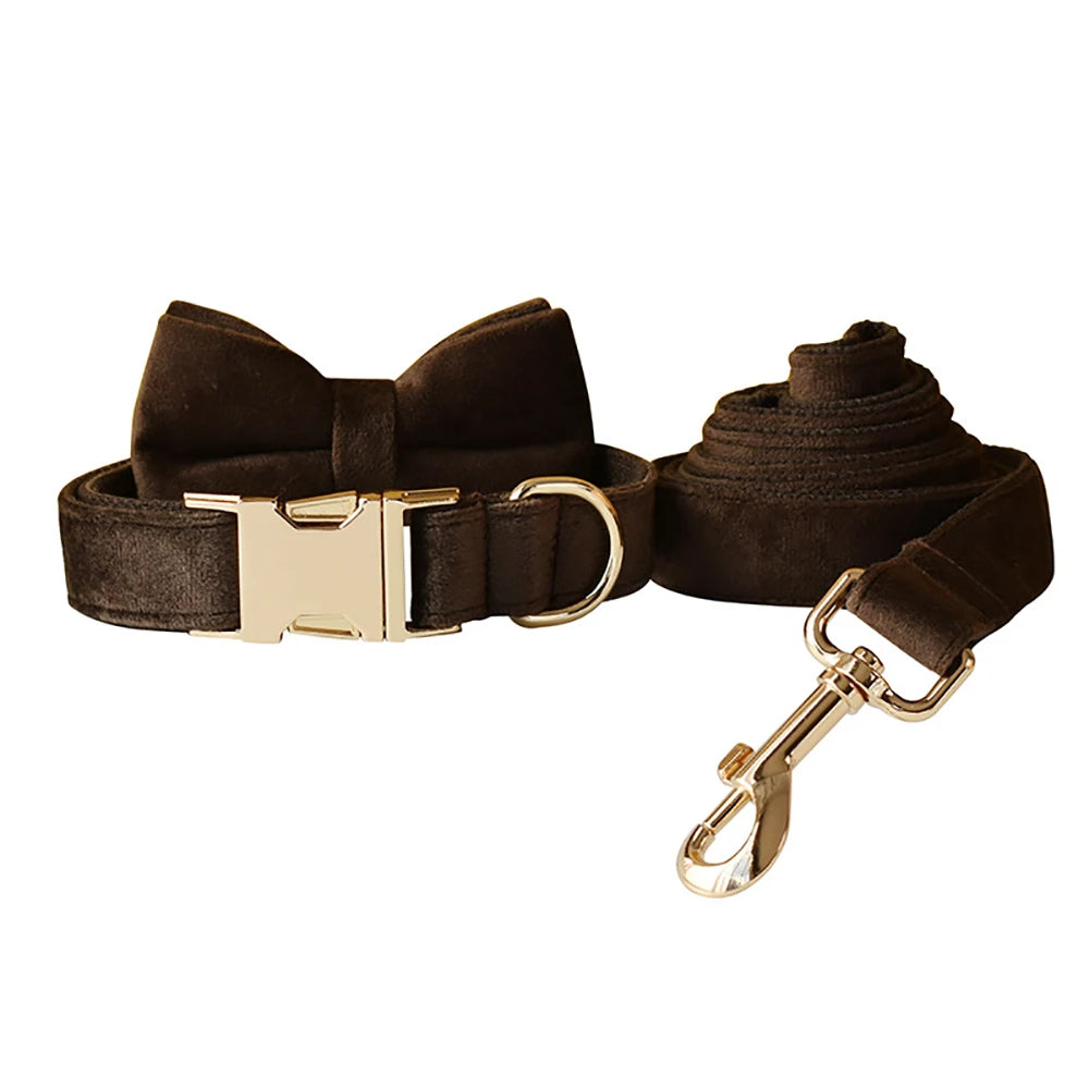 Personalized Cute Dog Collar in Bow Collar & Leash Chocolate