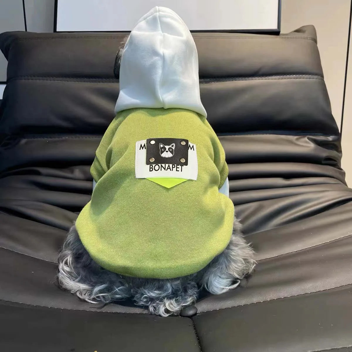 Dog Hoodie, photo 4