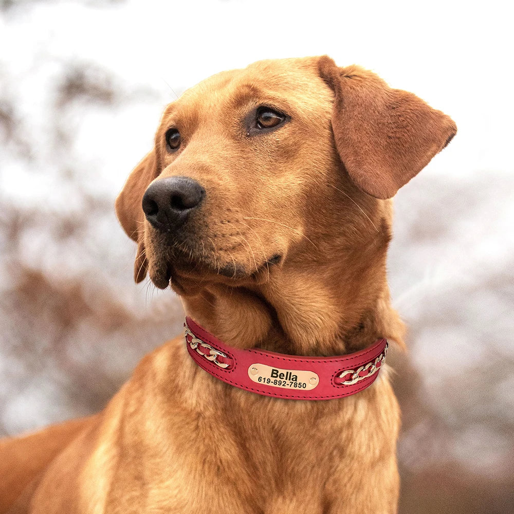 Personalized ID Tag Nameplate Dog Collar