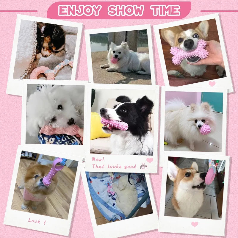 Dog Toy For Cleaning Teeth