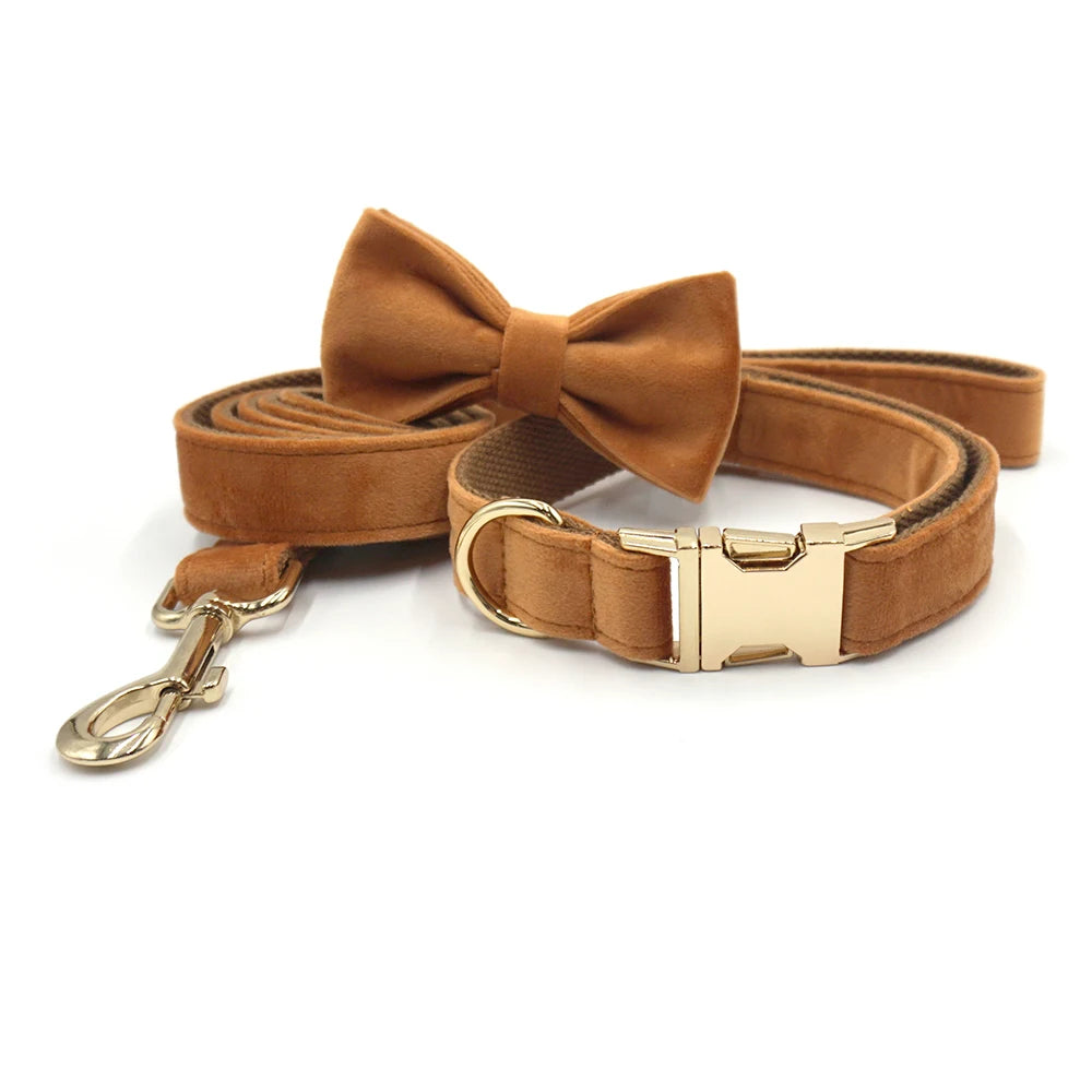 Personalized Cute Dog Collar in Bow Collar & Leash Coffee