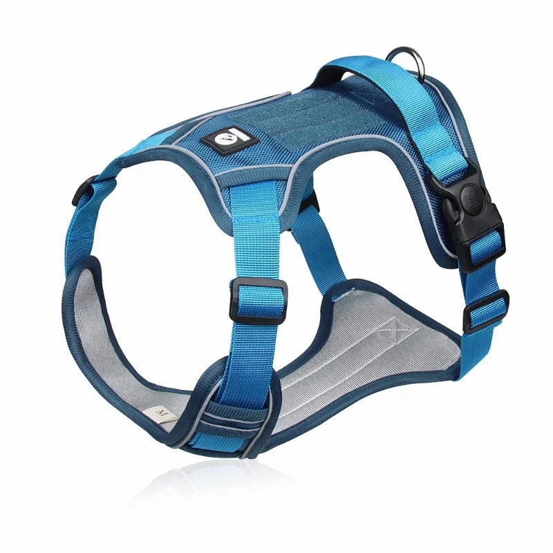 Dog Training Harness in Blue