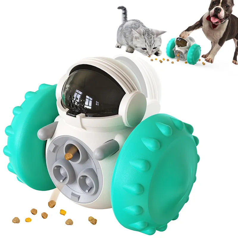 Dog Treat Leaking Toy in Turquoise