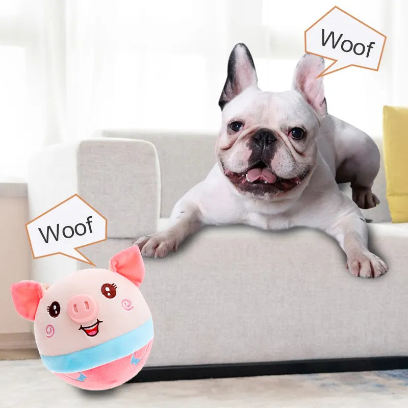 Talking Dog Ball