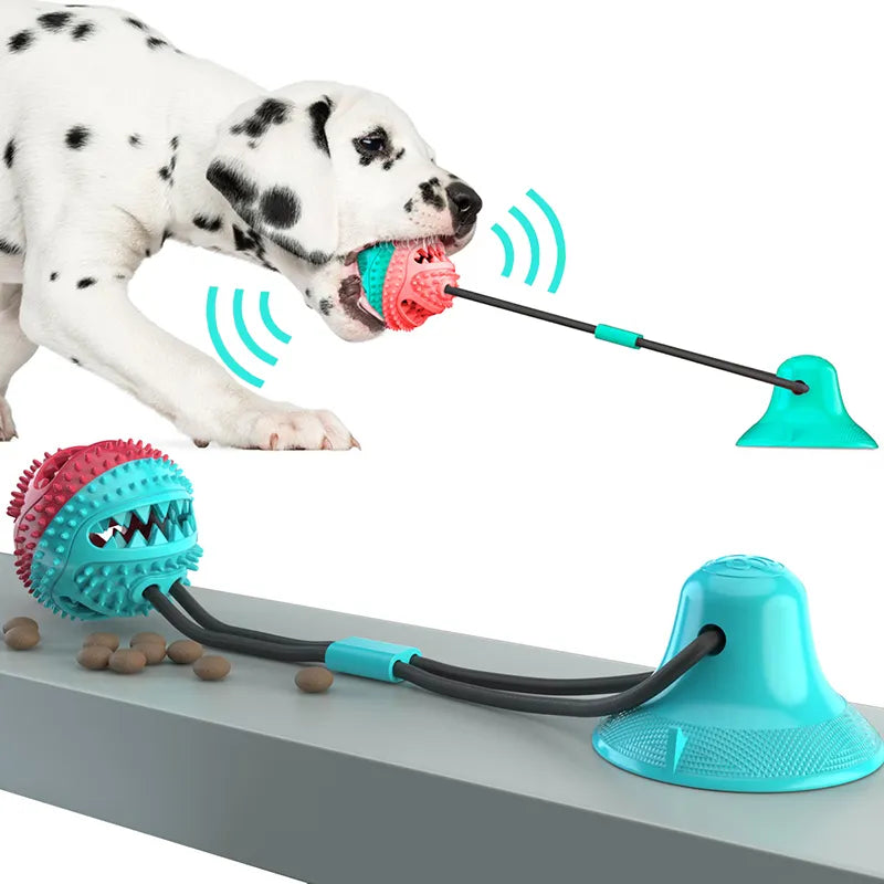Ball Toys: The perfect shape and size for your large dog to chase, fetch, and play with for hours of fun.