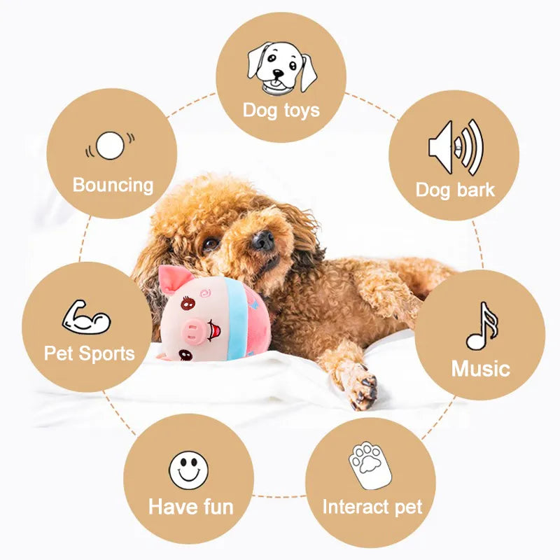 Talking Dog Ball