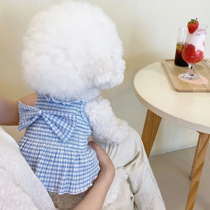 Dog Skirt in Blue