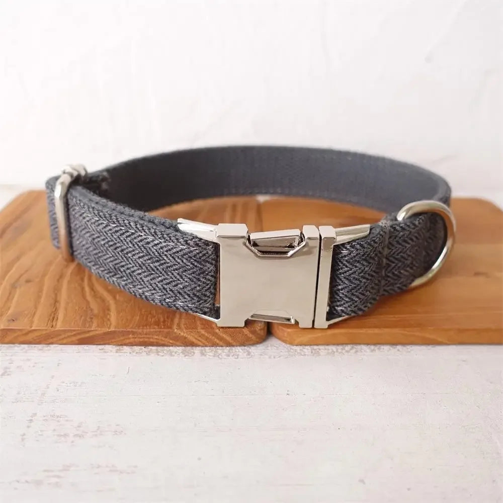 Personalized Buckle Dog Collar in Blue Collar
