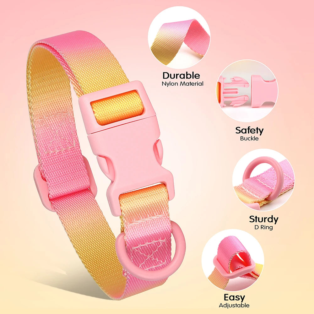Cute Dog Collar in Pink