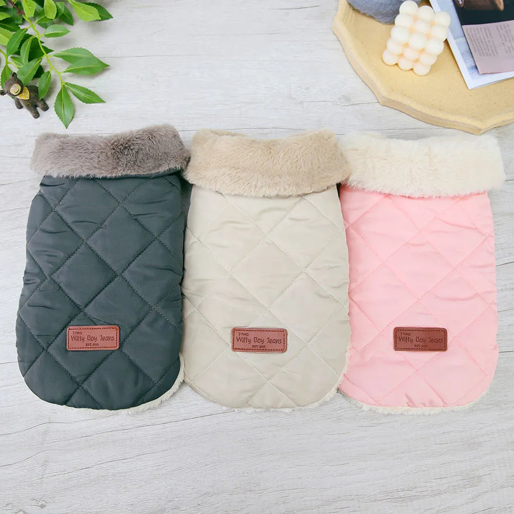 Small Dog Breed Jacket