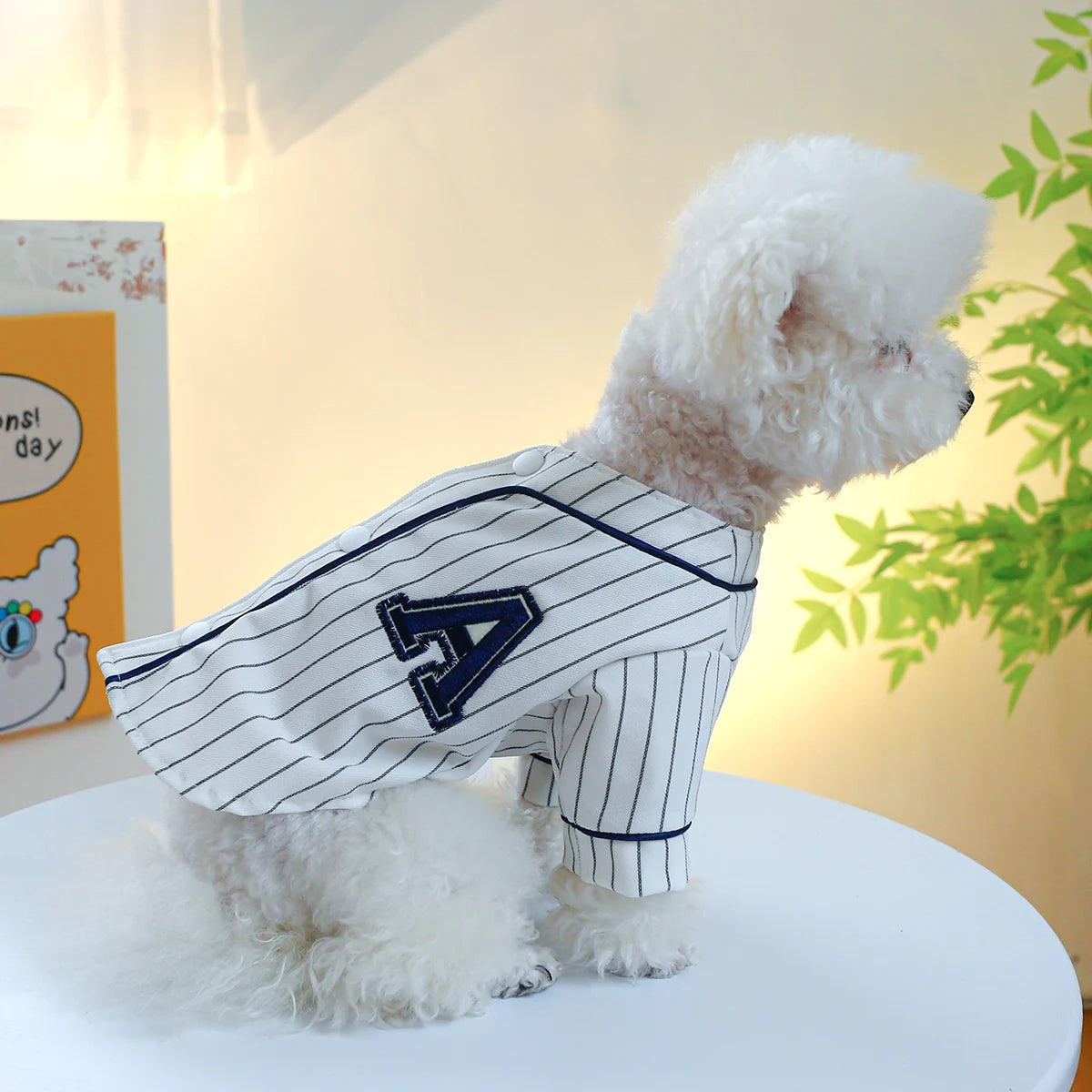 Small Dog Shirts, photo 4