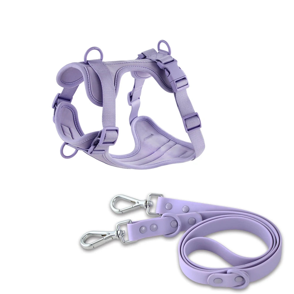 Double Harness For Dogs in Harness & Leash Purple
