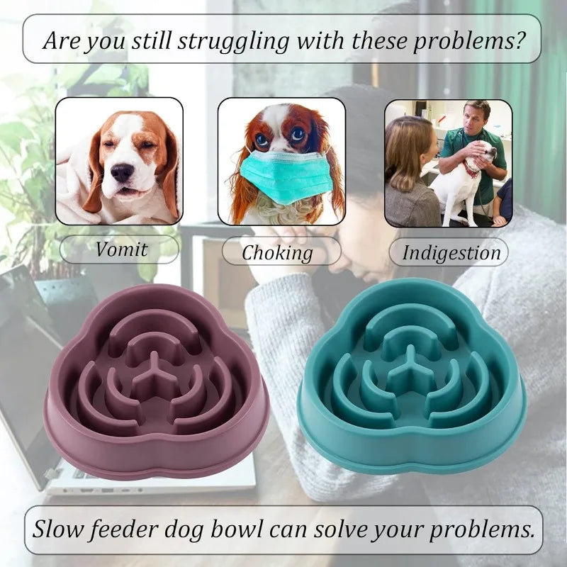 Slow Feed Bowls For Dogs