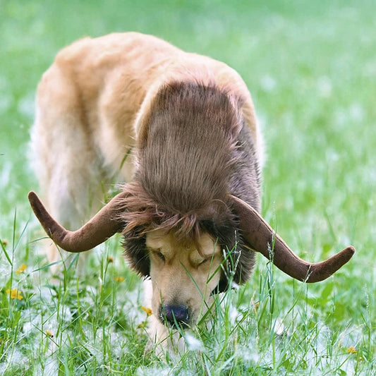 Cow Horns For Dogs Costume