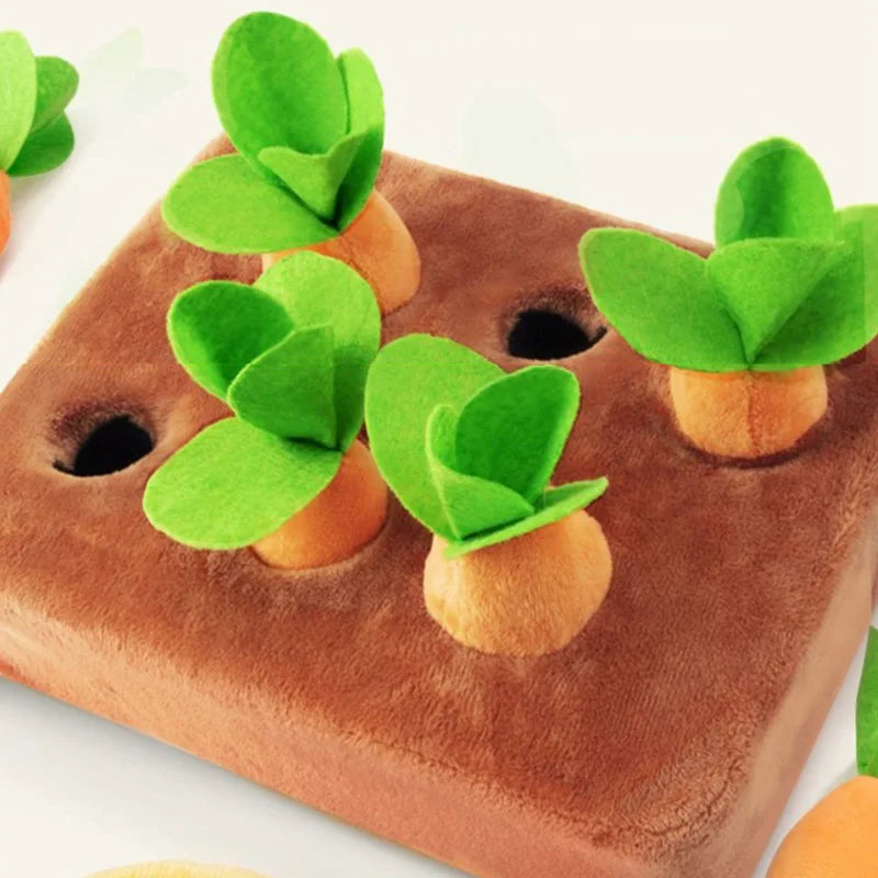 Carrot Snuffle Mat For Dogs