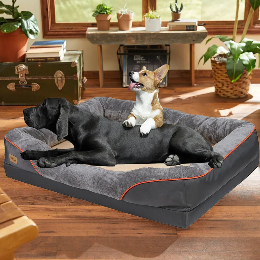 Available Sizes: Medium, Large, Extra Large, 2XL, 3XL, and 4XL, allowing you to find the perfect fit for your dog.