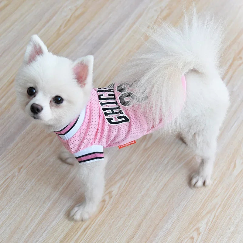 Basketball Jerseys For Dogs