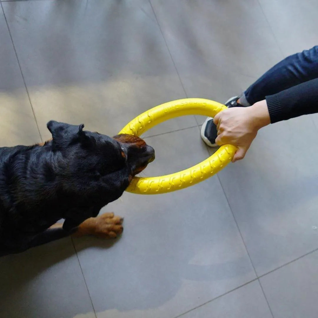 Dog Ring Toy