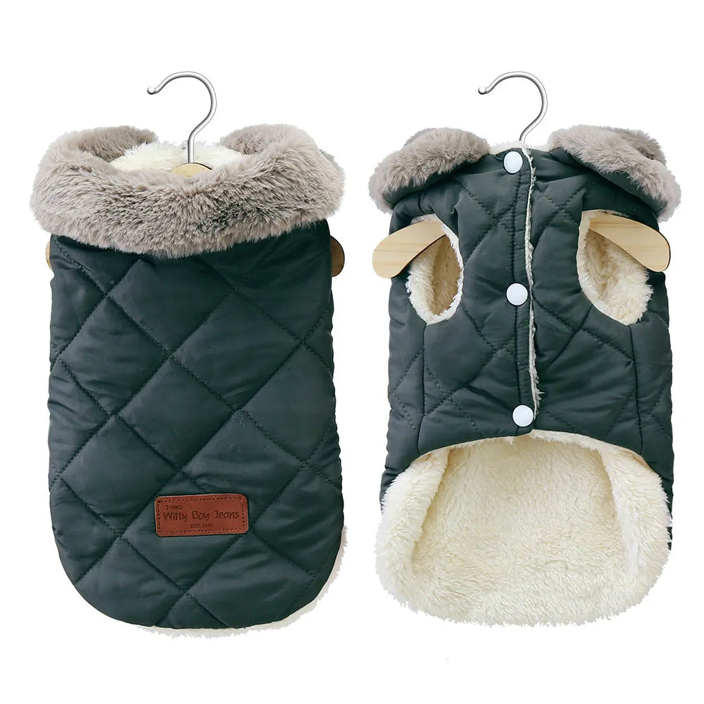 Small Dog Breed Jacket in Green