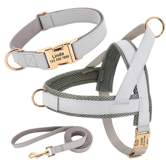 Personalized No Pull Dog Harness