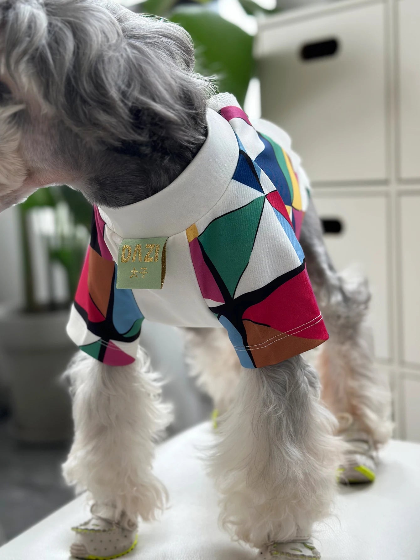 Small Dog T Shirts
