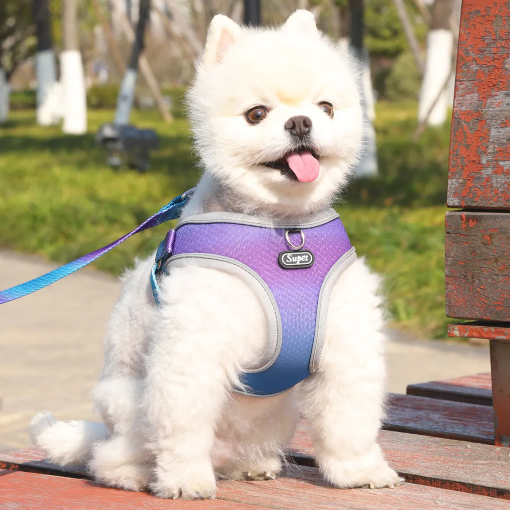 Nylon Dog Harness, photo 2
